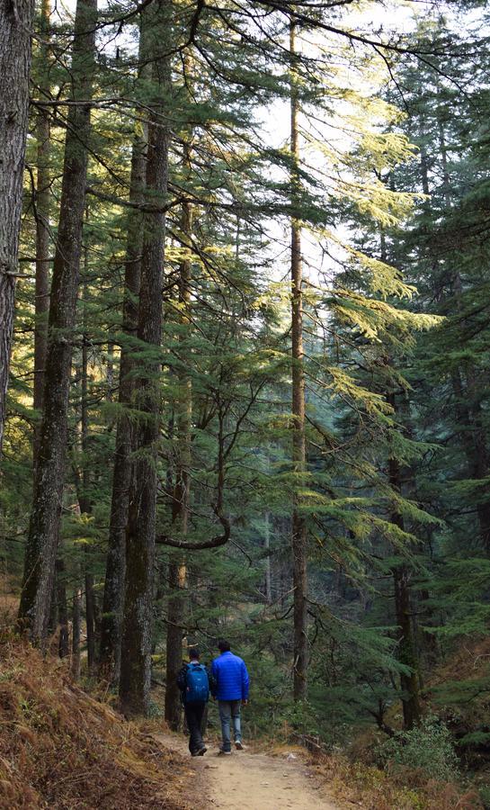 Вілла Thikalna Himalayan Retreat Алмора Екстер'єр фото